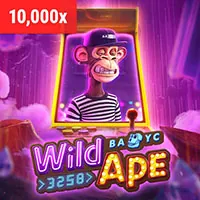 Tổng quan đá gà trực tiếp tại B29BET WIN