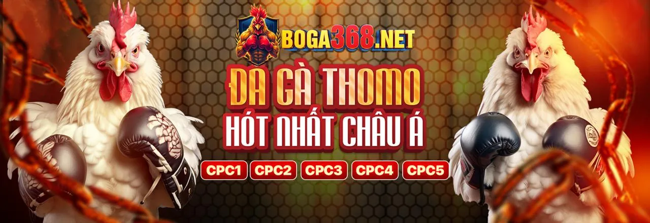 Tầm nhìn tương lai và sự đổi mới của b29bet win