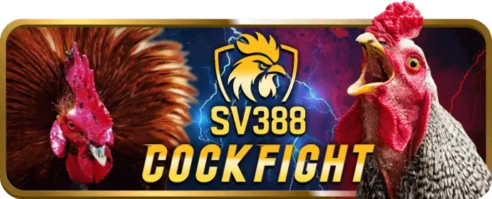 Công nghệ bảo mật tiên tiến của b29bet win